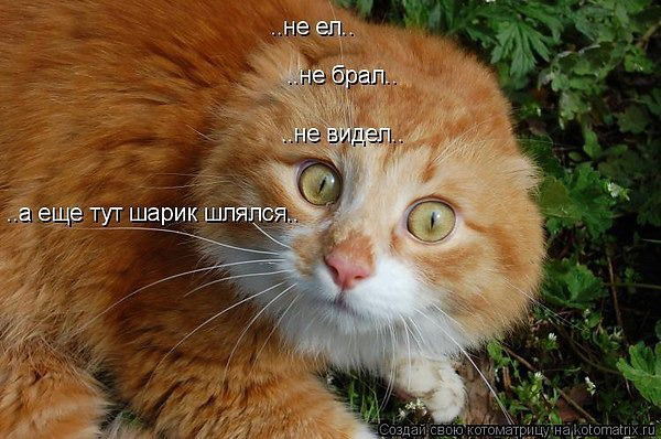 Лиза Сазонова