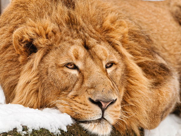 Aleksander Perekitnii