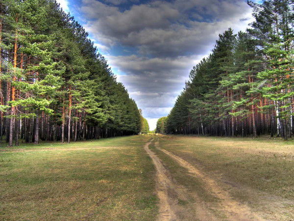 Сергей Вадимович