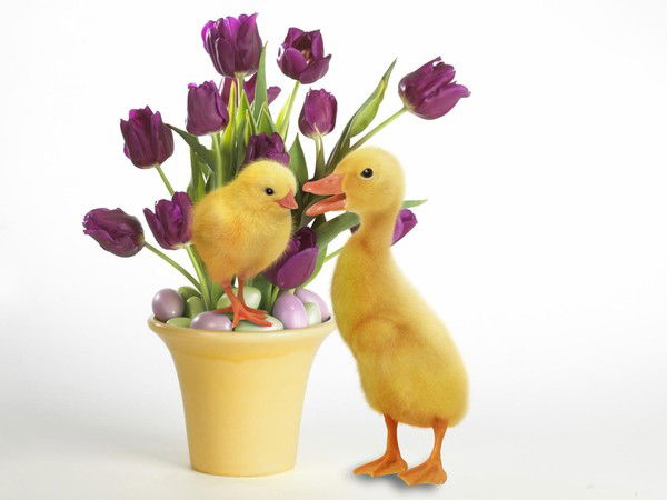 Валентина Руснак