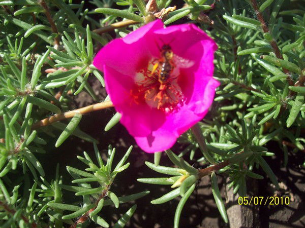 Тербукова Нина