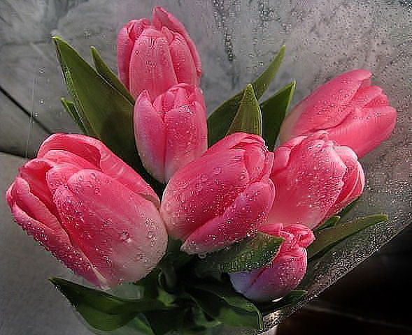 Эсмер Саидалиева