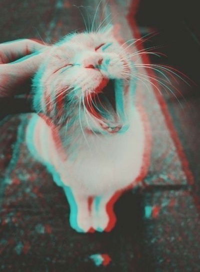 Данила Паркин