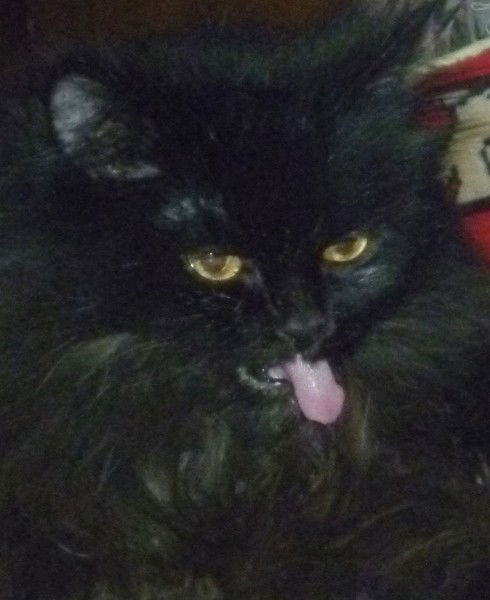 Марина Бакушкина