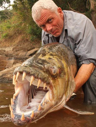 Александр Панченко