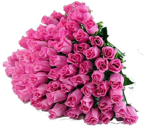 Дамеш Тасбулатова