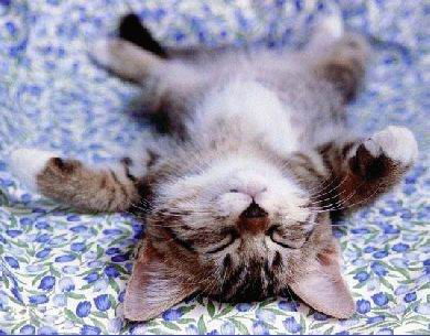 Гульназ Нуркаева