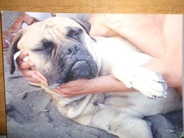 Сергей Носовский