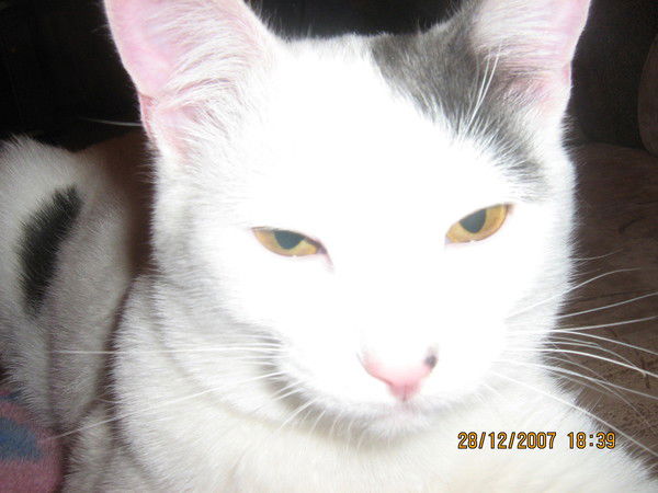 Татьяна Ибрагимова