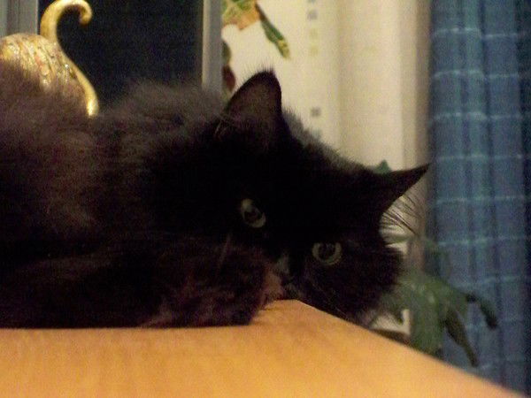 Александра Уланова