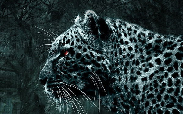 Толкунбек Тилекматов