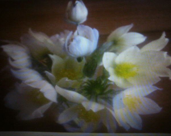 Олег Ушаков