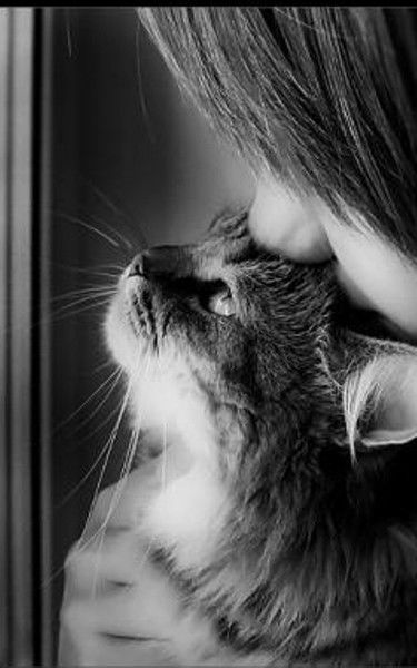 Евгения Eвдокимова