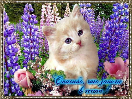 Светлана Козырь