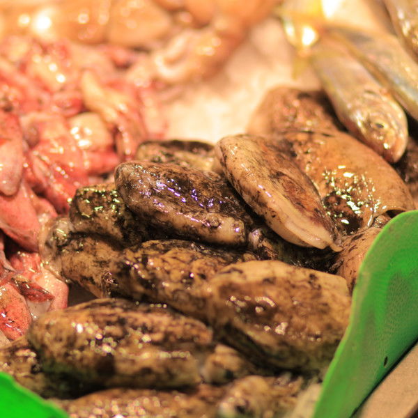 Юлия Летучая