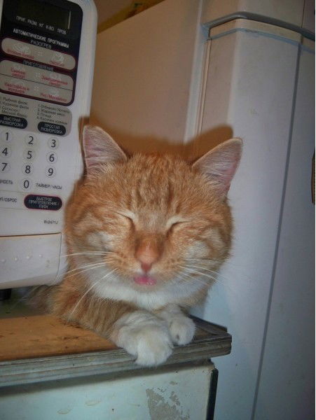 Маргарита Уфимцева