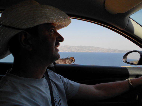 Петр Навдаев