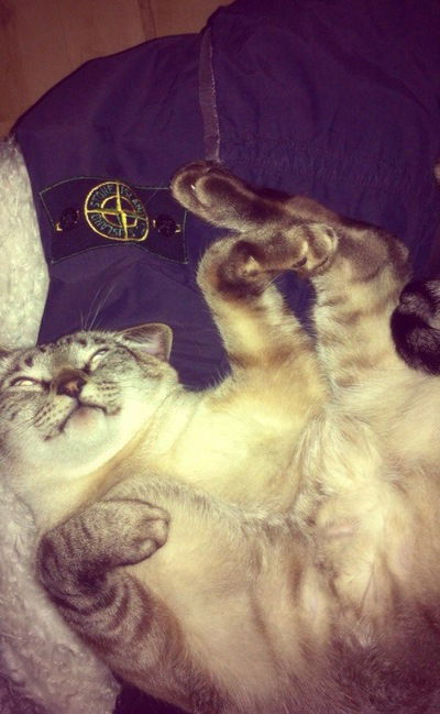 Андрей Грабинский