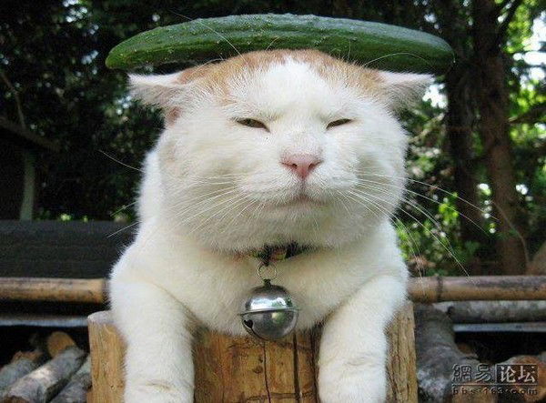 Алексей Мартынычев