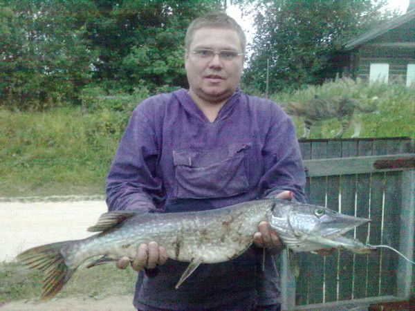 Владимир Расторгуев