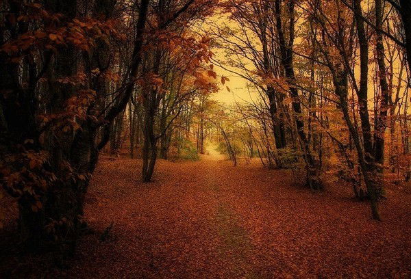 Сунгат ********