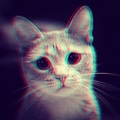 Лиза Волкова