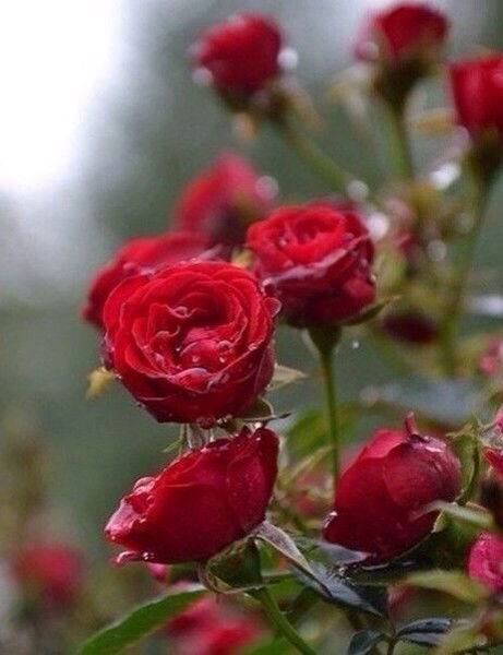 Жазира Жакыпбаева