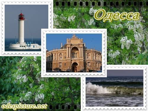 Виза-Сервис М/п Окна-Двери