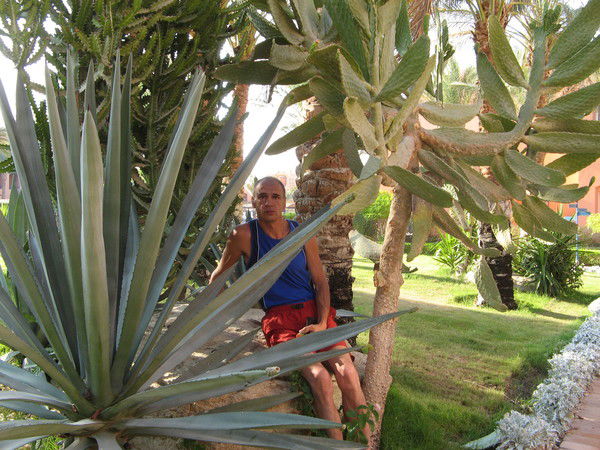 Павел Петров