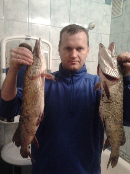 Игорь Комарчук