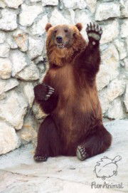 Александр Гладких