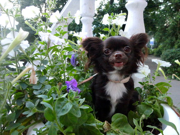 Татьяна Гончарова