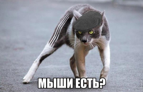 Наташа Галер