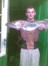 Андрей Люльчак