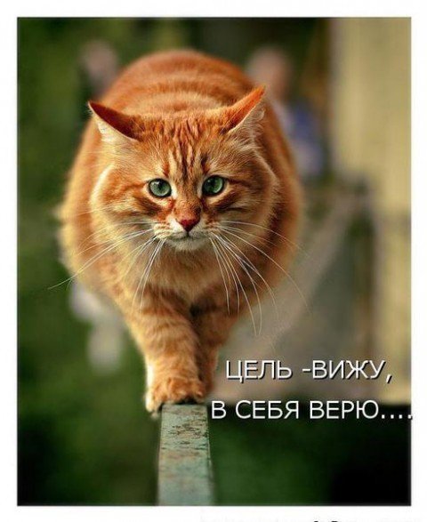 Наташа Журкина