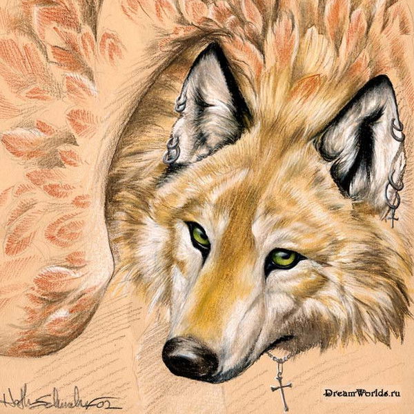 Илья Комаров