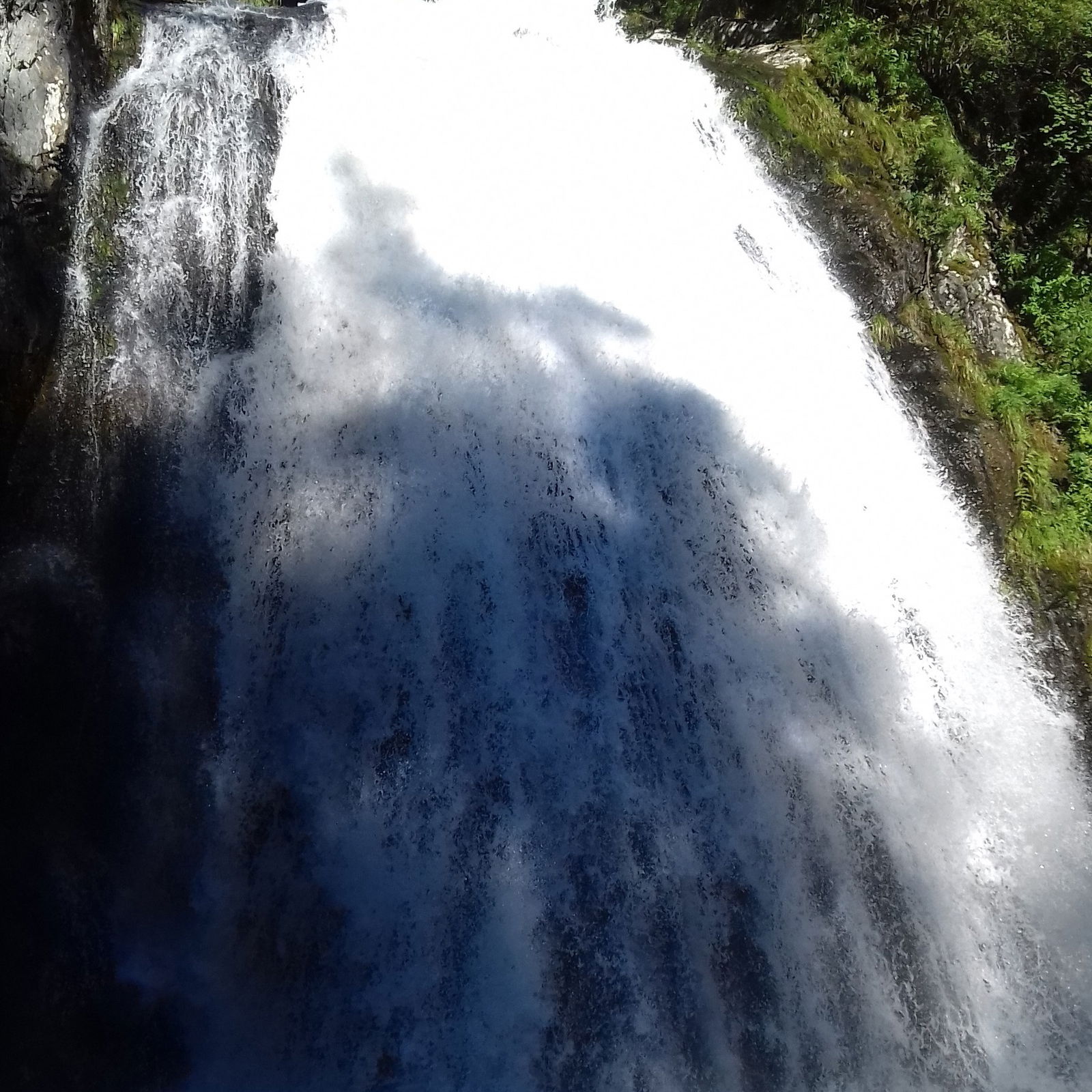 Сергей Кривенышев