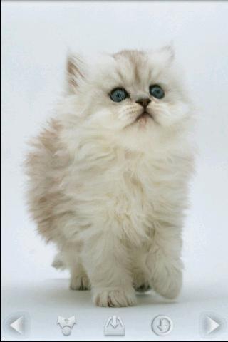 Наталия Маркова