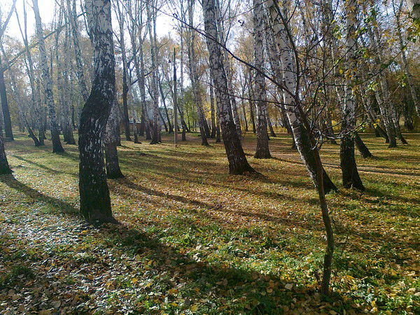 Ольга Горбачева