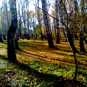 Ольга Горбачева
