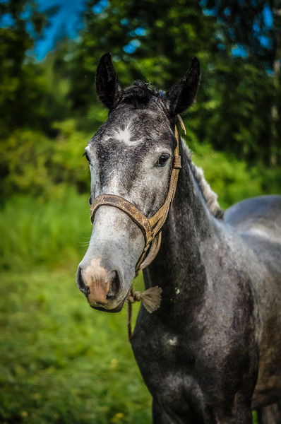 Тамара Славкина