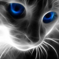 Даниил Зайцев