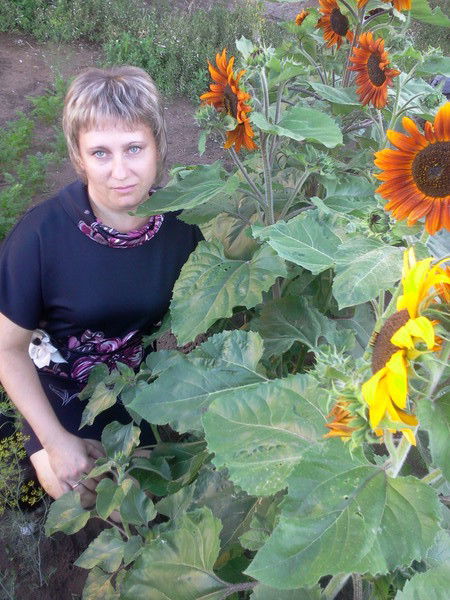 Ольга Краснова