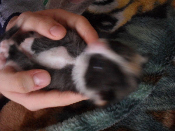 Ирина Шапошникова