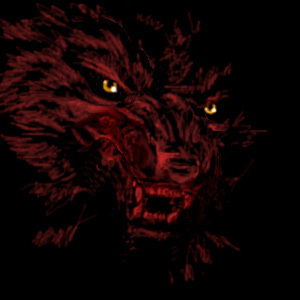 Андрей Остапенко