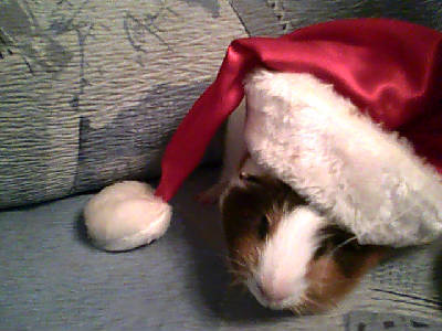 Валера Рузаев