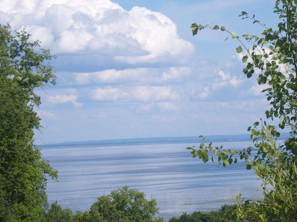 Александр И Альбина Бушковы