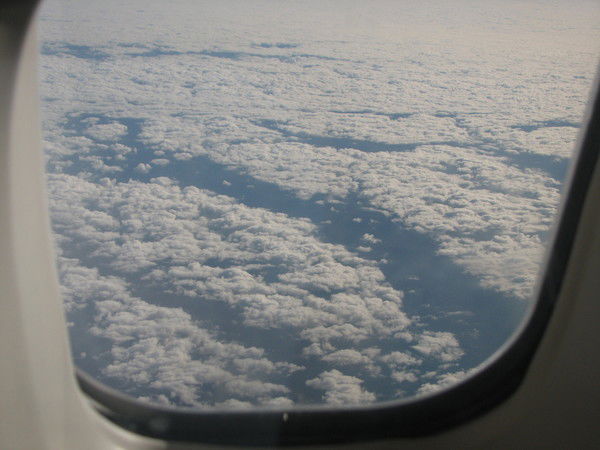 Захаркина Надежда