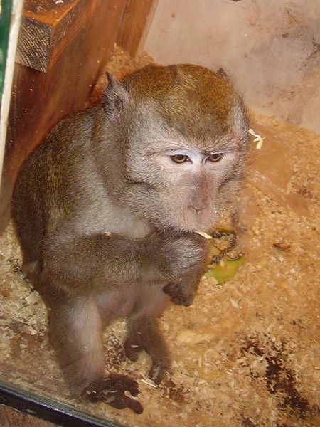 Светлана. .лысенкова