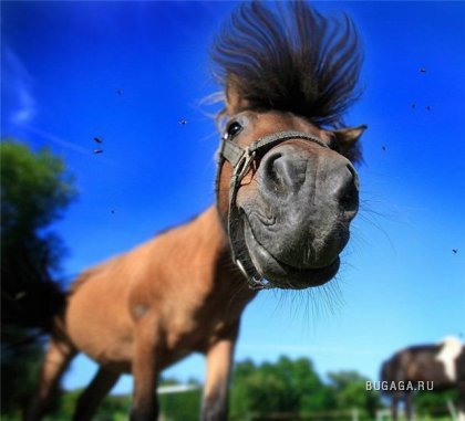 Дмитрий Коновалов